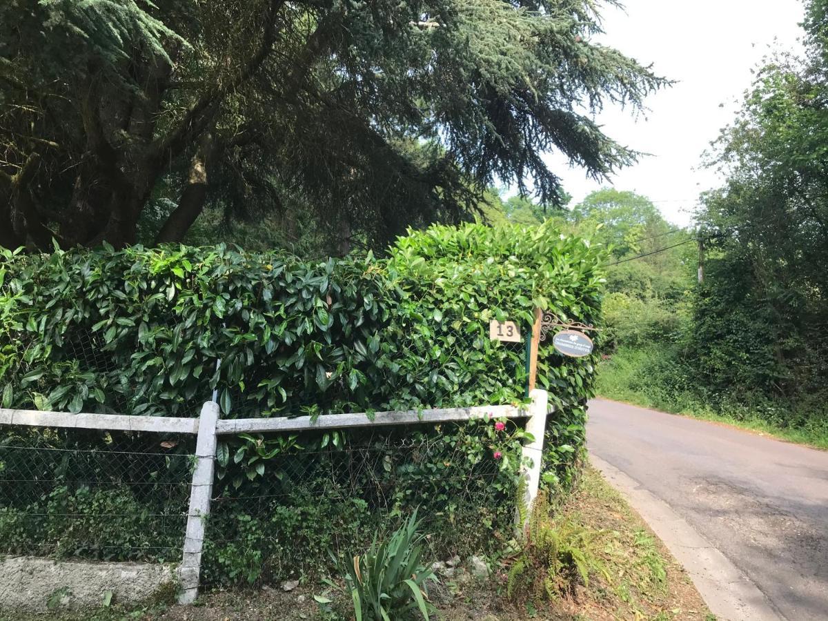 مبيت وإفطار Le Breuil-en-Auge Les Chaumieres Du Pays D'Auge المظهر الخارجي الصورة